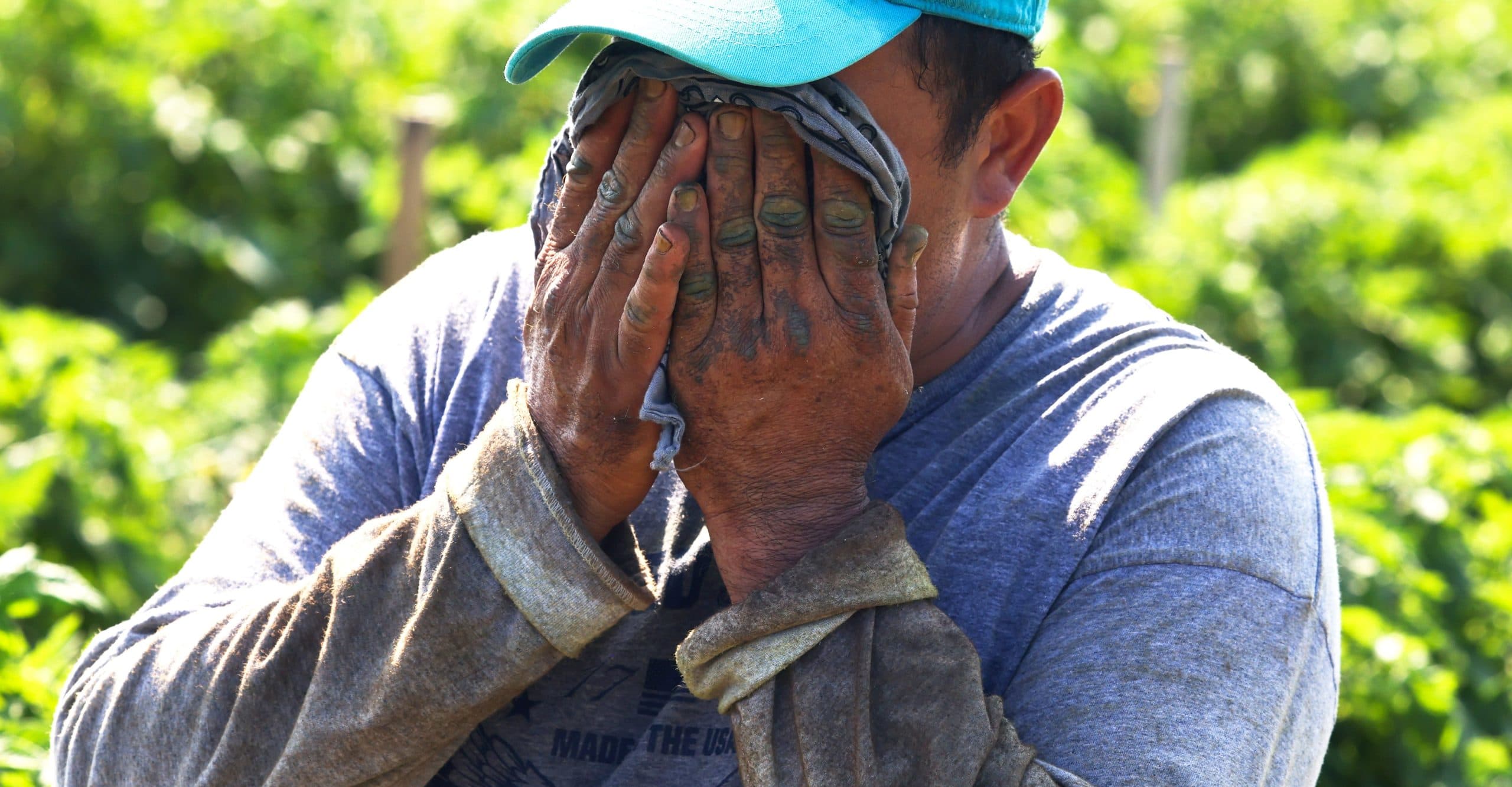 Heat waves 2024: Workers don't have federal heat protections. It's a deadly problem.