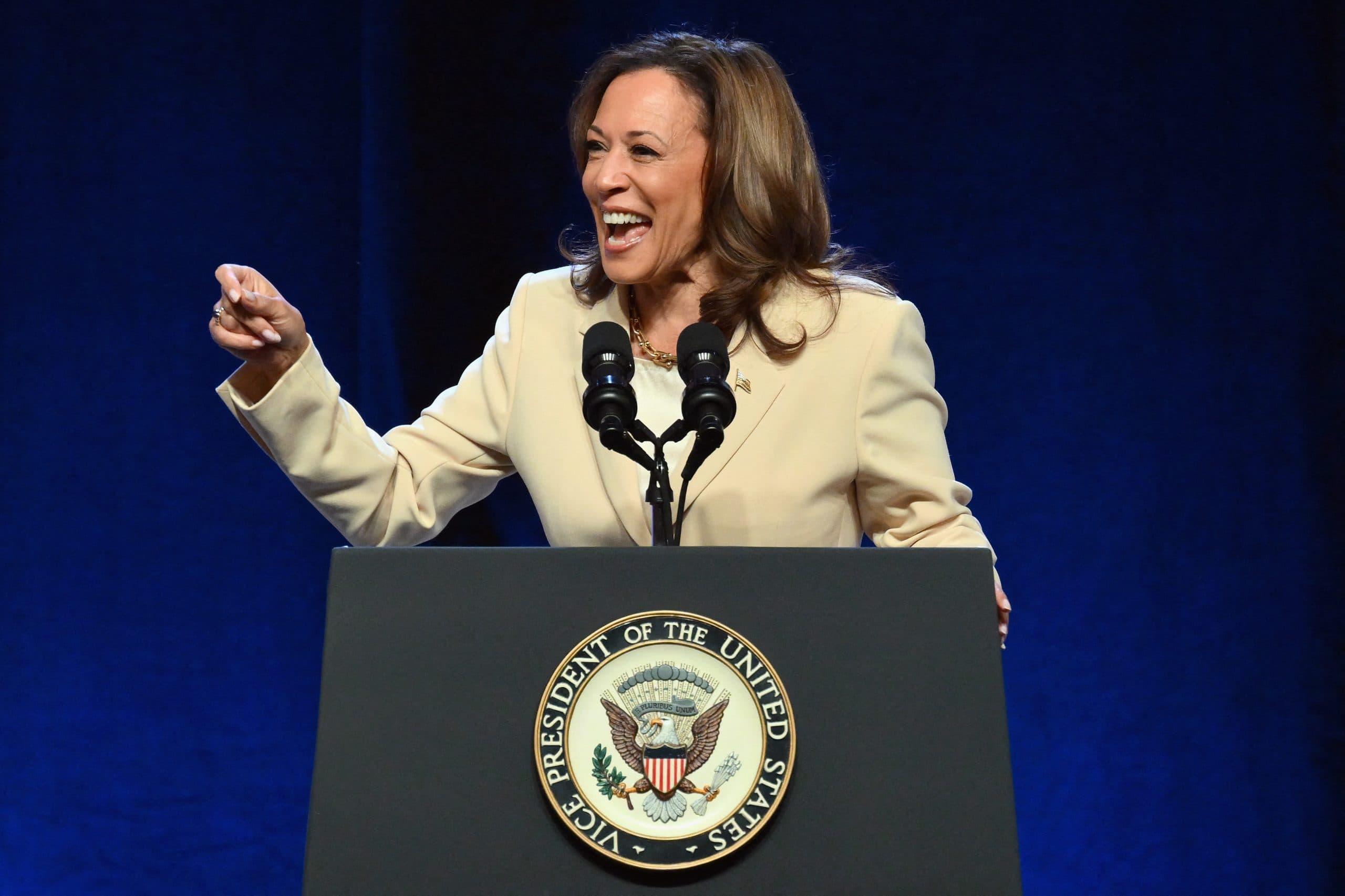 The Democrats who could replace Biden if he steps aside