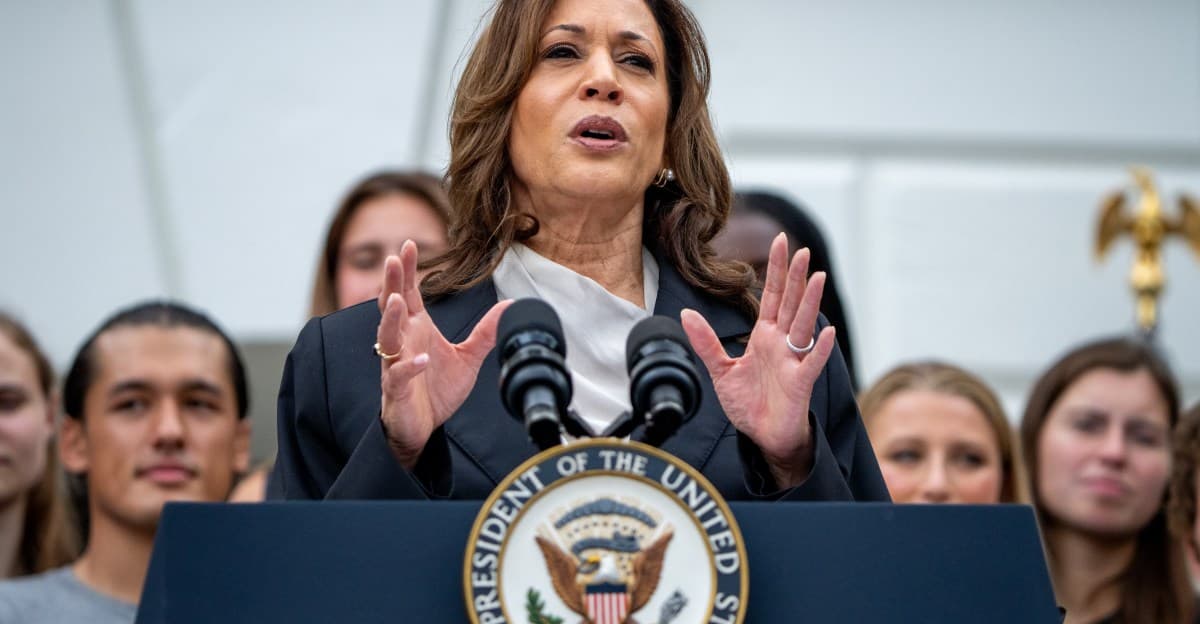 Democrats have three months to campaign for Harris
