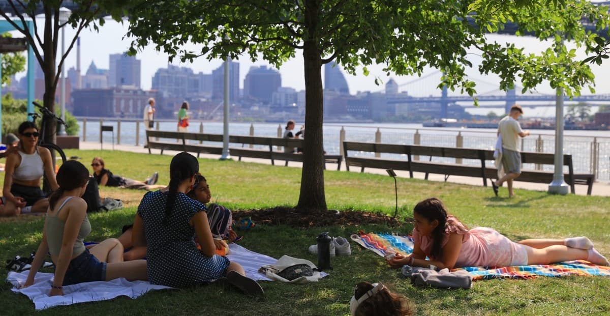 Heat waves are making US cities like New York unbearably hot. Here’s a technology-free way to cool them down.