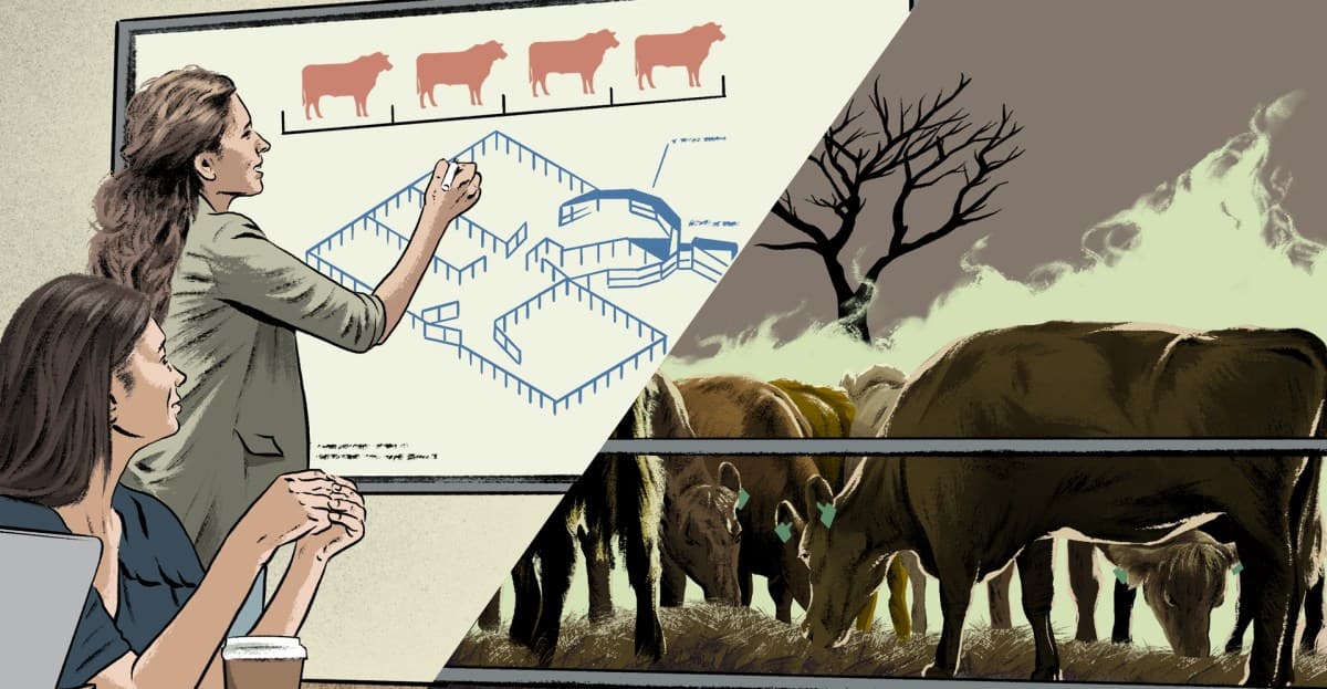 How public universities hooked America on meat