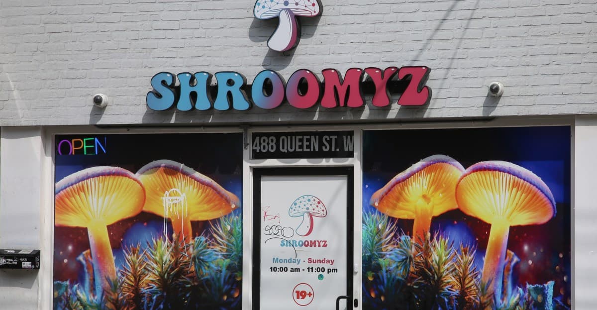 Should we sell magic mushrooms like we sell weed?