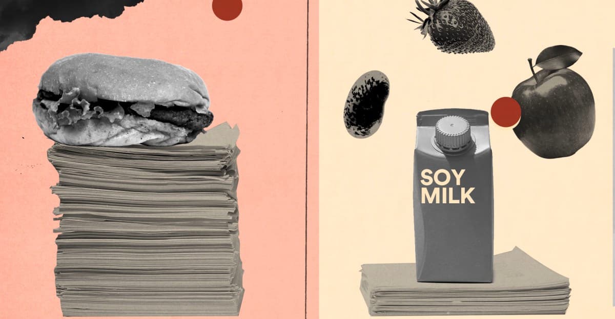 Government control of your diet?The US government built the meat industry. Can it now build a more plant-based food system?