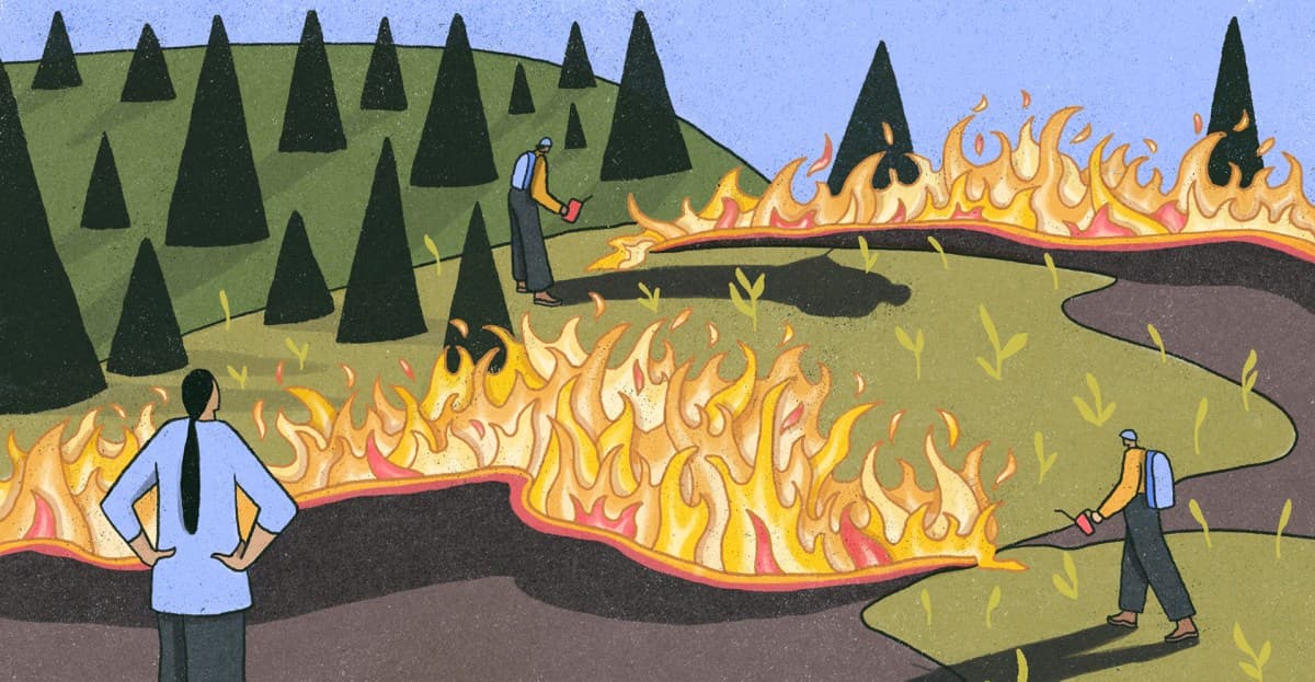 How Indigenous fire management and controlled burns can help end our deadly cycle of mega fire