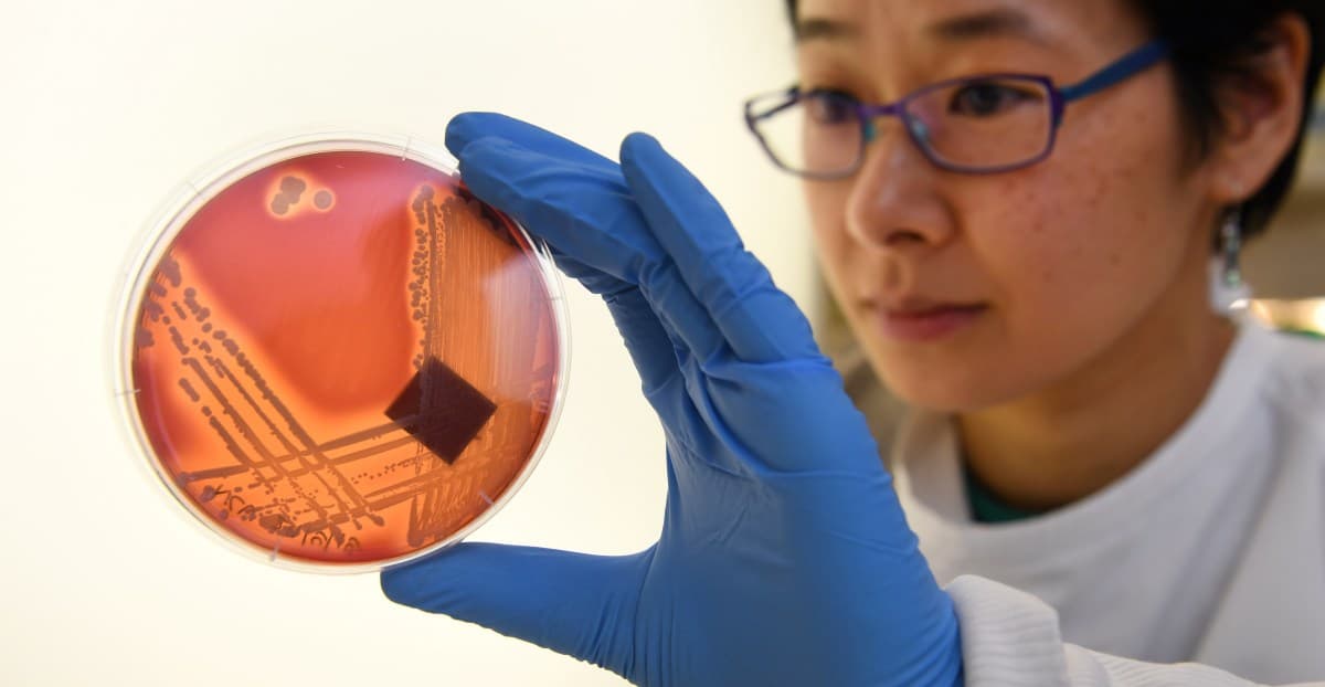 How to get rid of antibiotic resistance: Could a new law help