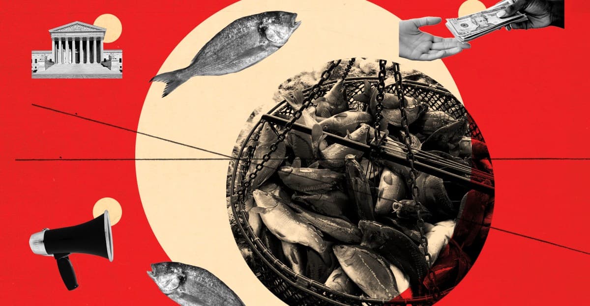 The 2024 election needs a new progressive cause: animal rights