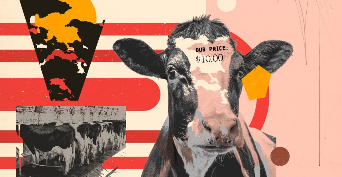 The World Wildlife Fund and the Nature Conservancy support the meat industry’s false climate solutions. Why?