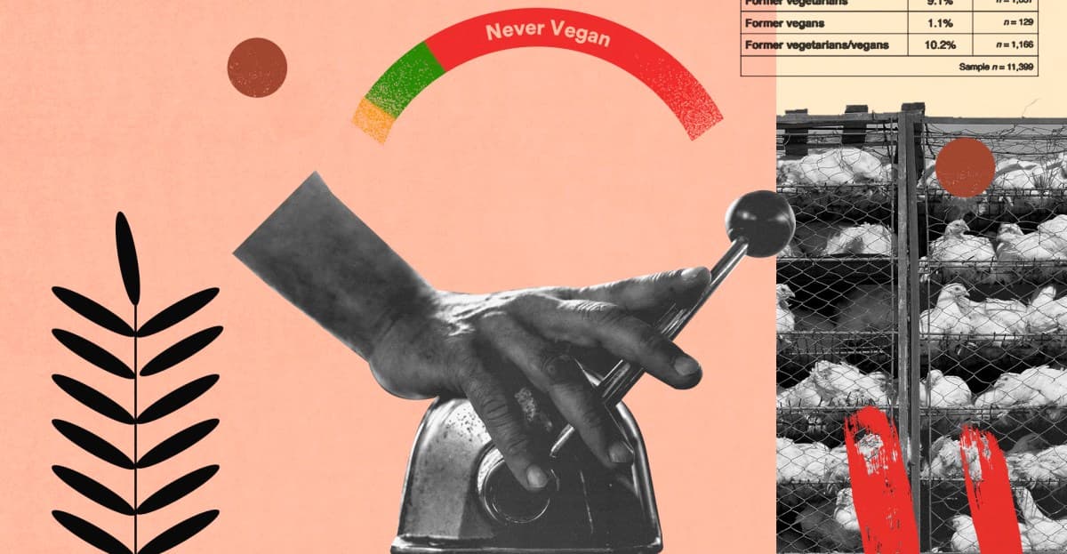 Why do people go vegan? For some, it’s dissent against animal abuse and cruelty.