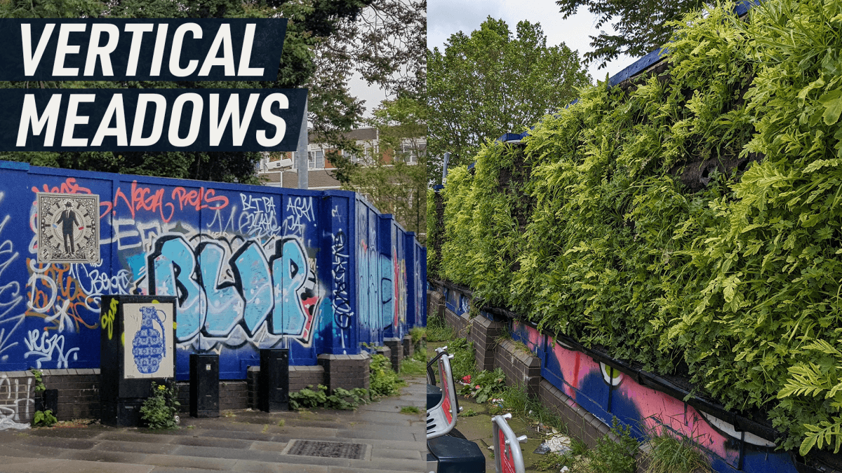 A London borough is turning construction hoardings into wildflower meadows