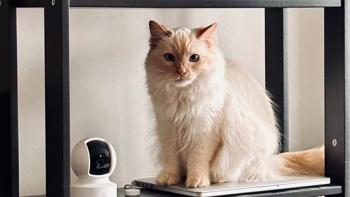 Best home security deal: Save up to 45% on systems from eufy, SimpliSafe, and Kasa