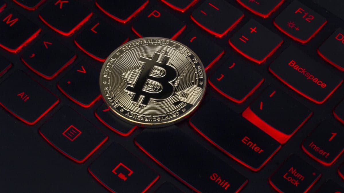 Crypto scams grew by nearly 50 percent with over $5.6 billion in losses last year