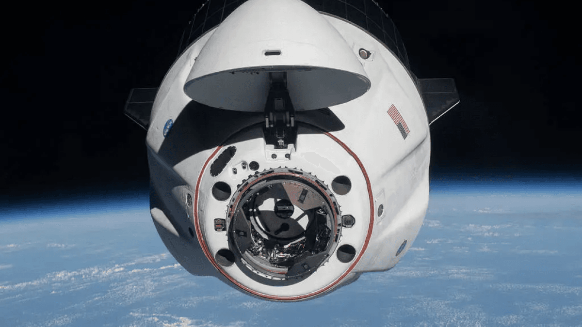 Scientists are collecting pee from SpaceX travelers. There's a good reason.